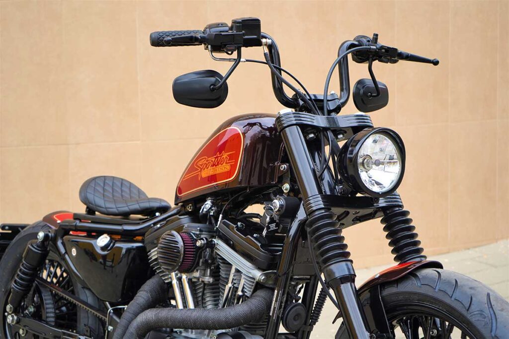 Gasoline tank and front detail