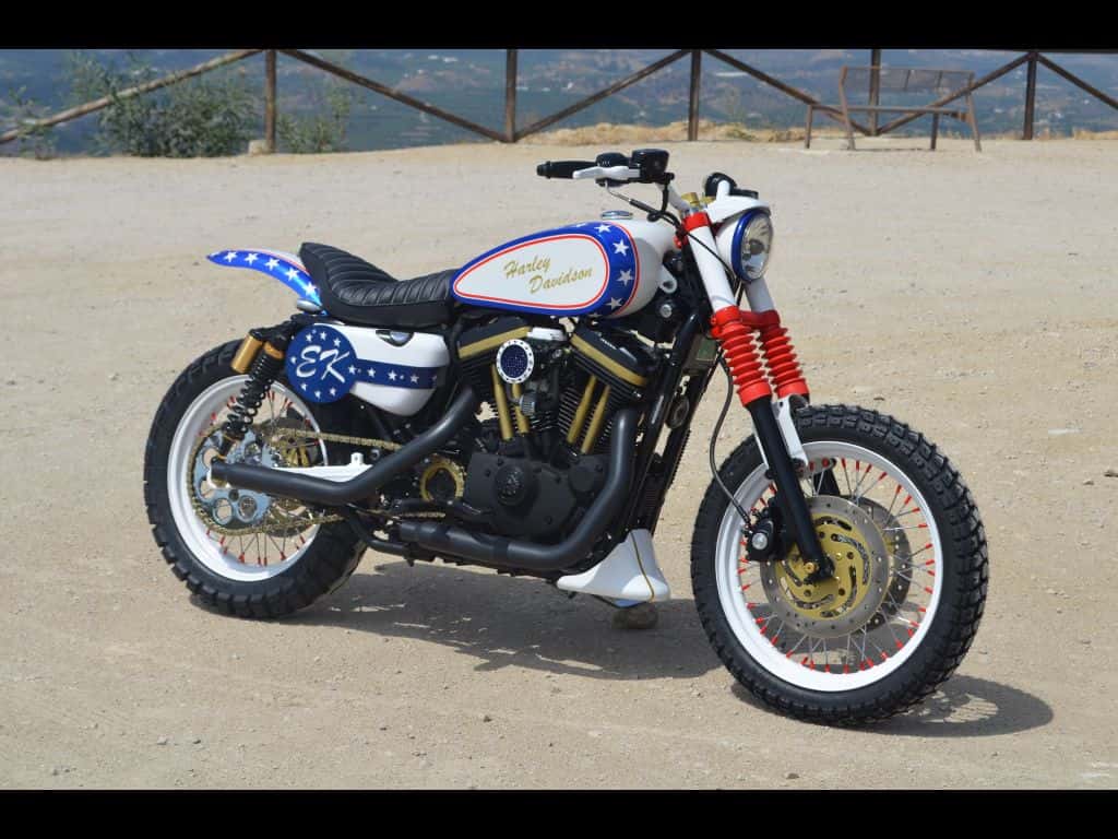 New Sportster scrambler “Evel Knievel” by LDK