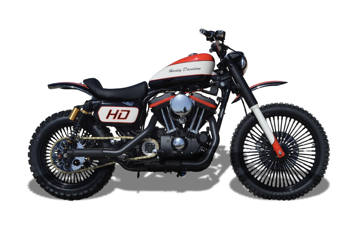 Harley davidson scrambler 2019 shop