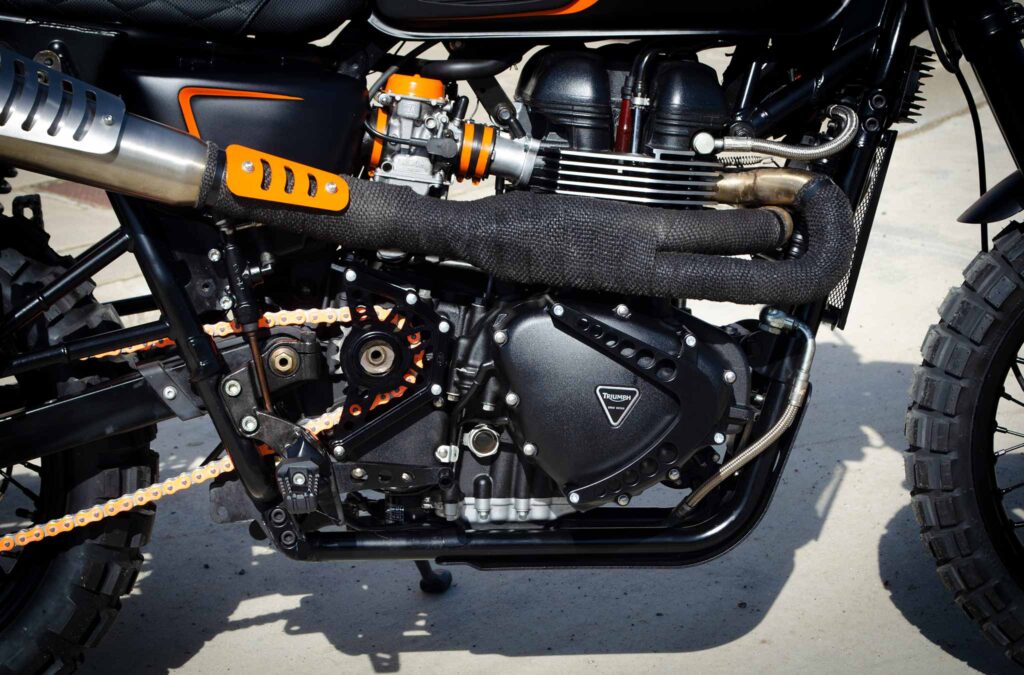 Triumph Mardanis engine detail