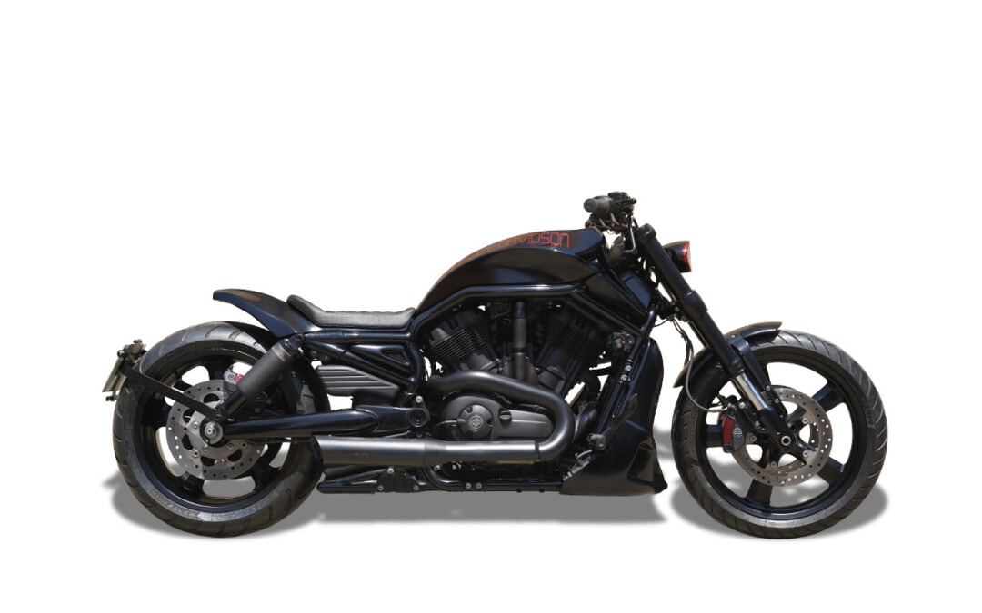 MUSCLE 260