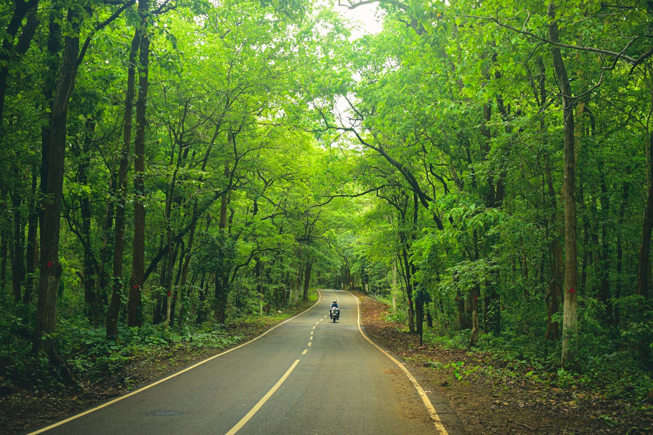 Motorcycle routes for lovers of the Café Racer and Bobber style