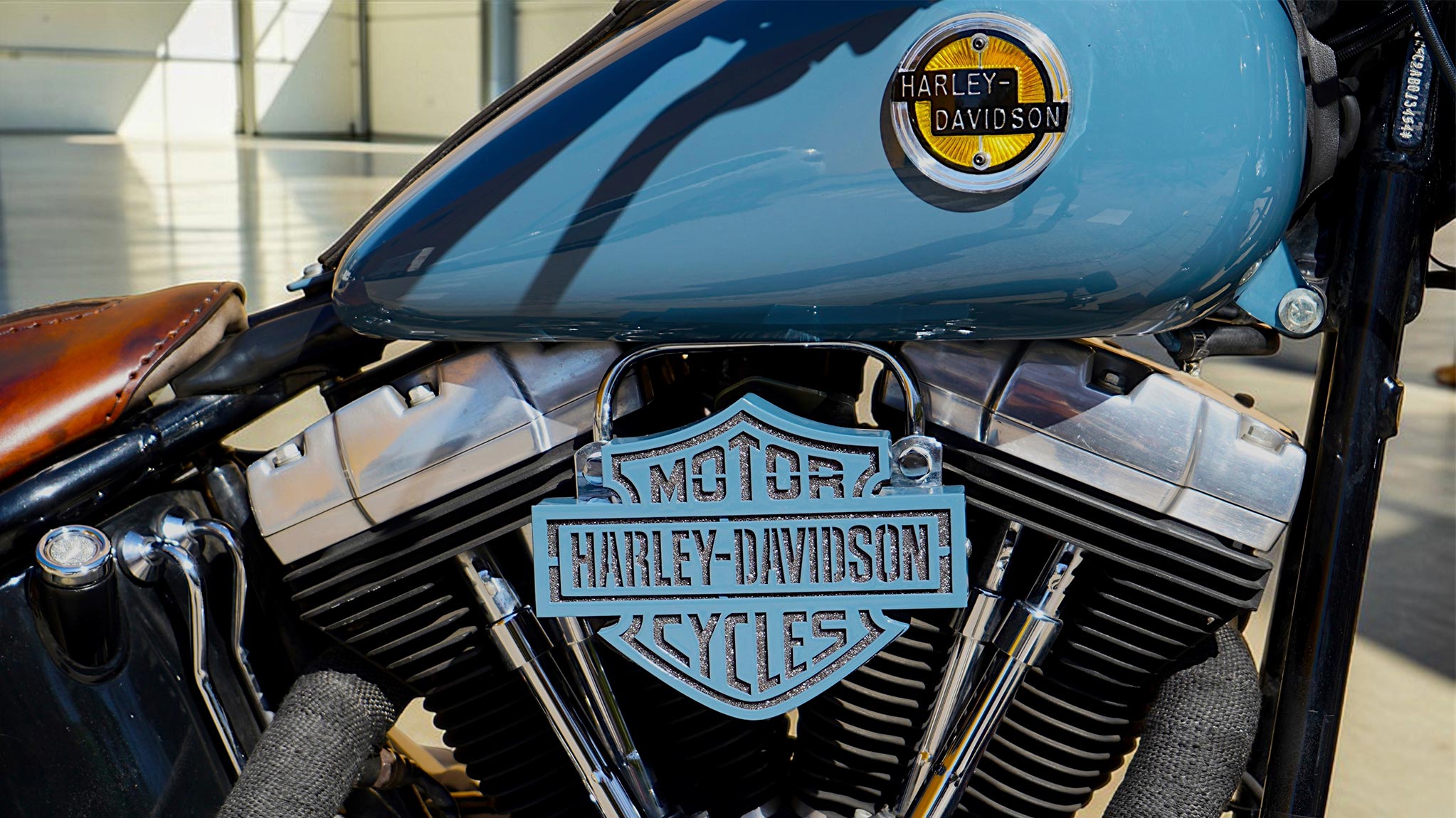 HD Cross Bones Águila Detalle emblema